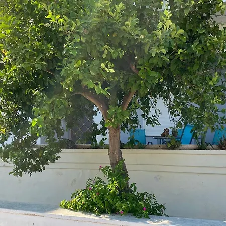 Διαμέρισμα Chania Center Flat Χανιά
